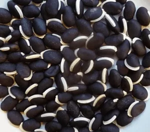 blackbeans